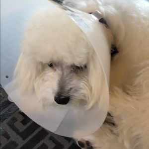 Meet your Posher, Raj